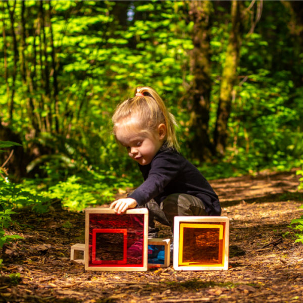 Learning with Nature: The Power of Silence