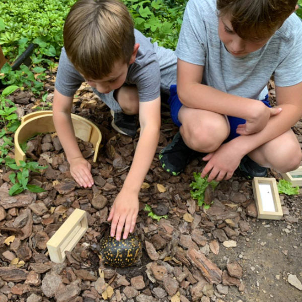 Learning with Nature: Animals and Empathy