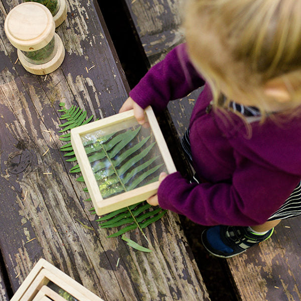 Learning with Nature: Awaking a Sense of Wonder