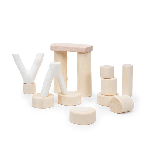 G6769 Toddler Branch Blocks 15 pc Set Product