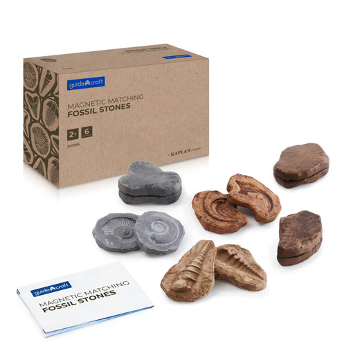 300656 Magnetic Matching Fossil Stones Set of 6 Main Image