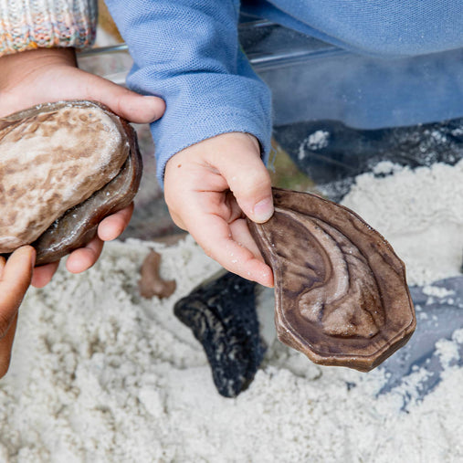 300656 Magnetic Matching Fossil Stones Lifestyle 5