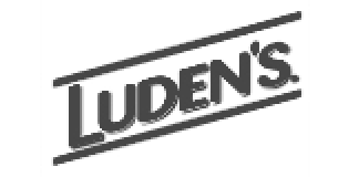 Black and white Ludens logo featuring bold, slanted text with dynamic diagonal lines above and below.