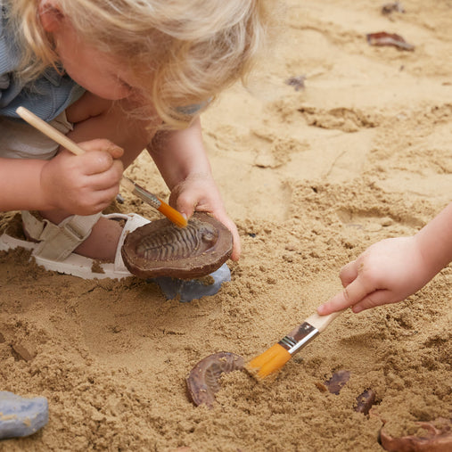 300656 Magnetic Matching Fossil Stone Set of 6 Lifestyle 3