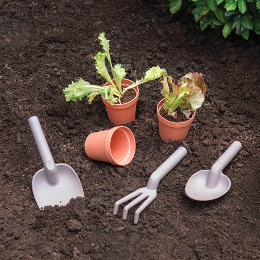 G78201 Martha Stewart Garden Tools and Pots Env 0442 Main
