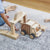 G6722 Wooden Garbage Truck Lifestyle2