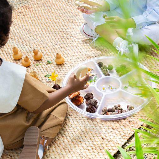 G4702 Loose Parts Sorting  Tray Set of 4 Clear Lifestyle 003 | Clear