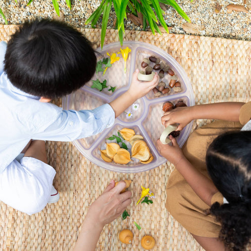 G4702 Loose Parts Sorting  Tray Set of 4 Clear Lifestyle 001 | Clear