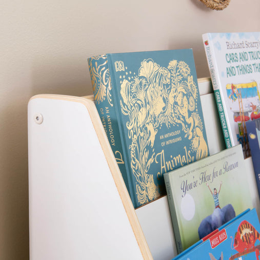 G80221 EdQ Book and Bin Display White Env 1321 | White