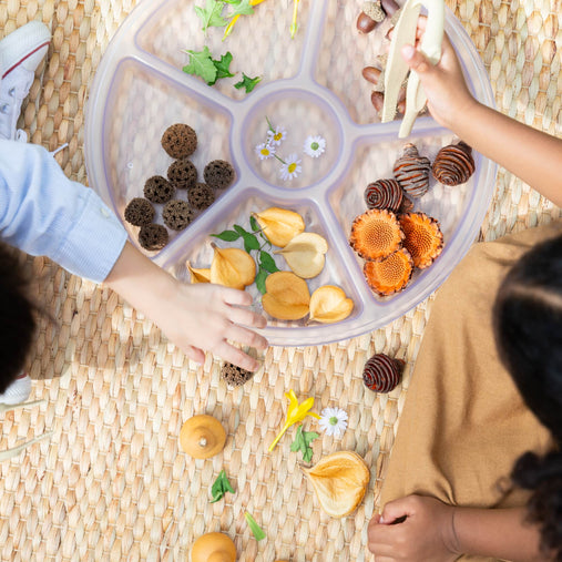 G4702 Loose Parts Sorting  Tray Set of 4 Clear Lifestyle 002 | Clear