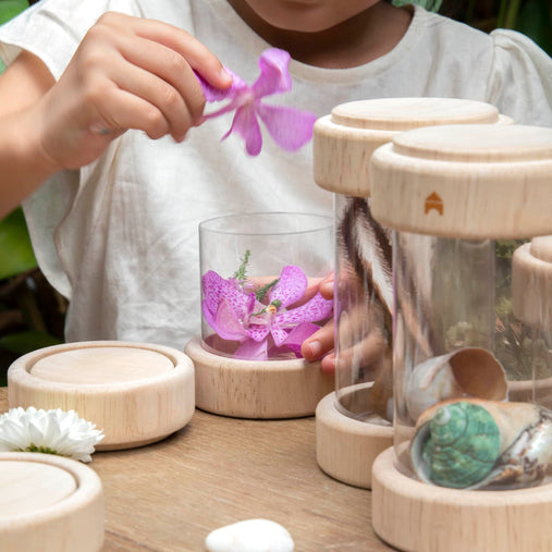 G3086 Treasure Tubes Clear 226 | Clear