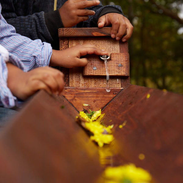 Outdoor Preschool During a Pandemic: Creating an Urban Forest School
