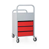 Display and Storage Cart