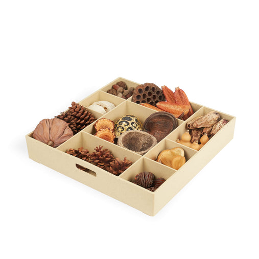 G4850  Nature's Geometry Product 1