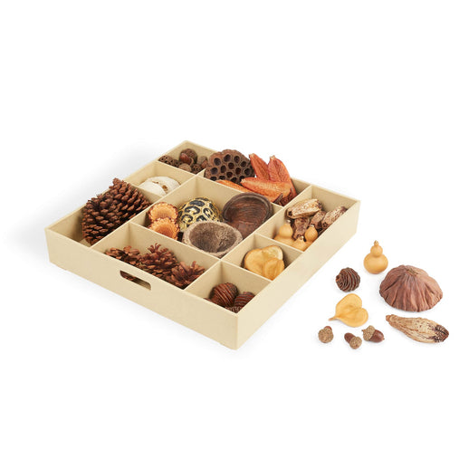 G4850  Nature's Geometry Product 2