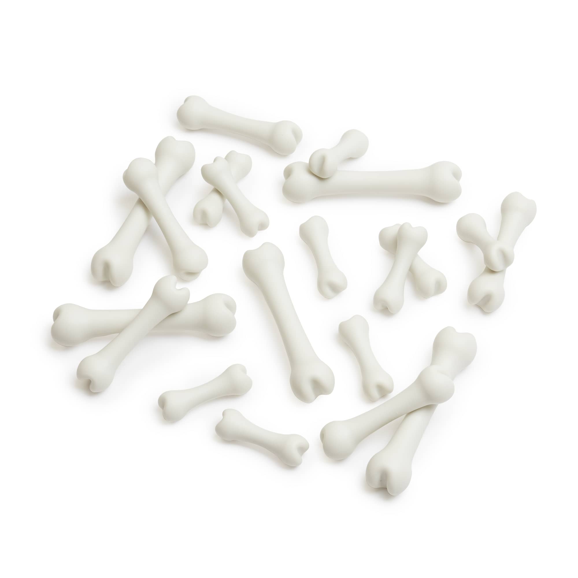 Big Bones Set - 20 pieces – Guidecraft