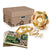 301313 Connections Pentagon Play System Main Images