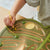 300588 Natures Paths Magnetic Leaf Mazes Set of 3 Lifestyle 4