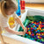 G31001 Sensory System Table Detail 291