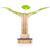 U1550-1 Reading Tree Front