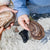 300656 Magnetic Matching Fossil Stones Lifestyle 5