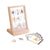 G4503  Specimen Stand  Sea Creatures set Silo 1