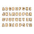 301409 Tree Block Letters Silo 28