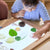 302266 Acrylic Nature's Cross Sections Lifestyle 168