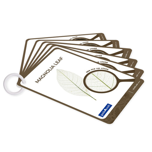 302266 Acrylic Nature's Cross Sections Cards