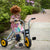 94423 Trike 3