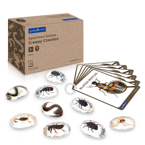 301316 Specimen Stones Creepy Crawlers Main Images | Creepy Crawlers