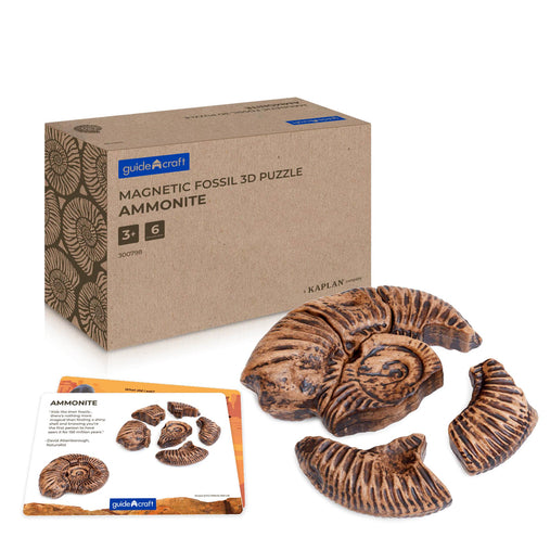 300798 Magnetic Fossil 3D Puzzle Ammonite Main Image | Ammonite