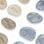 302268 Magnetic Matching Fossil Stones Aquatic Life Set of 8 Silo 23