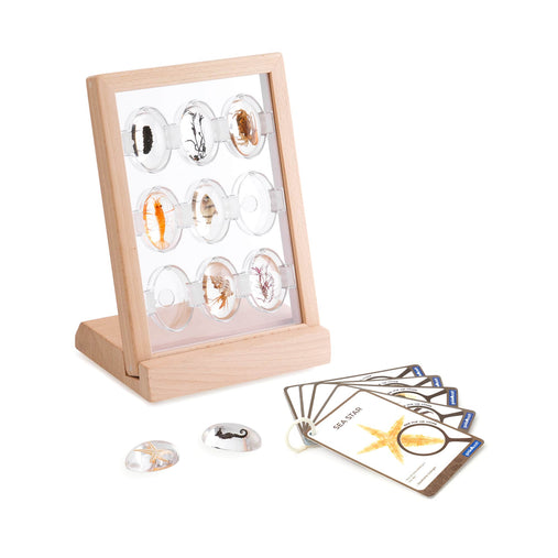 G4503  Specimen Stand  Sea Creatures set Silo 1