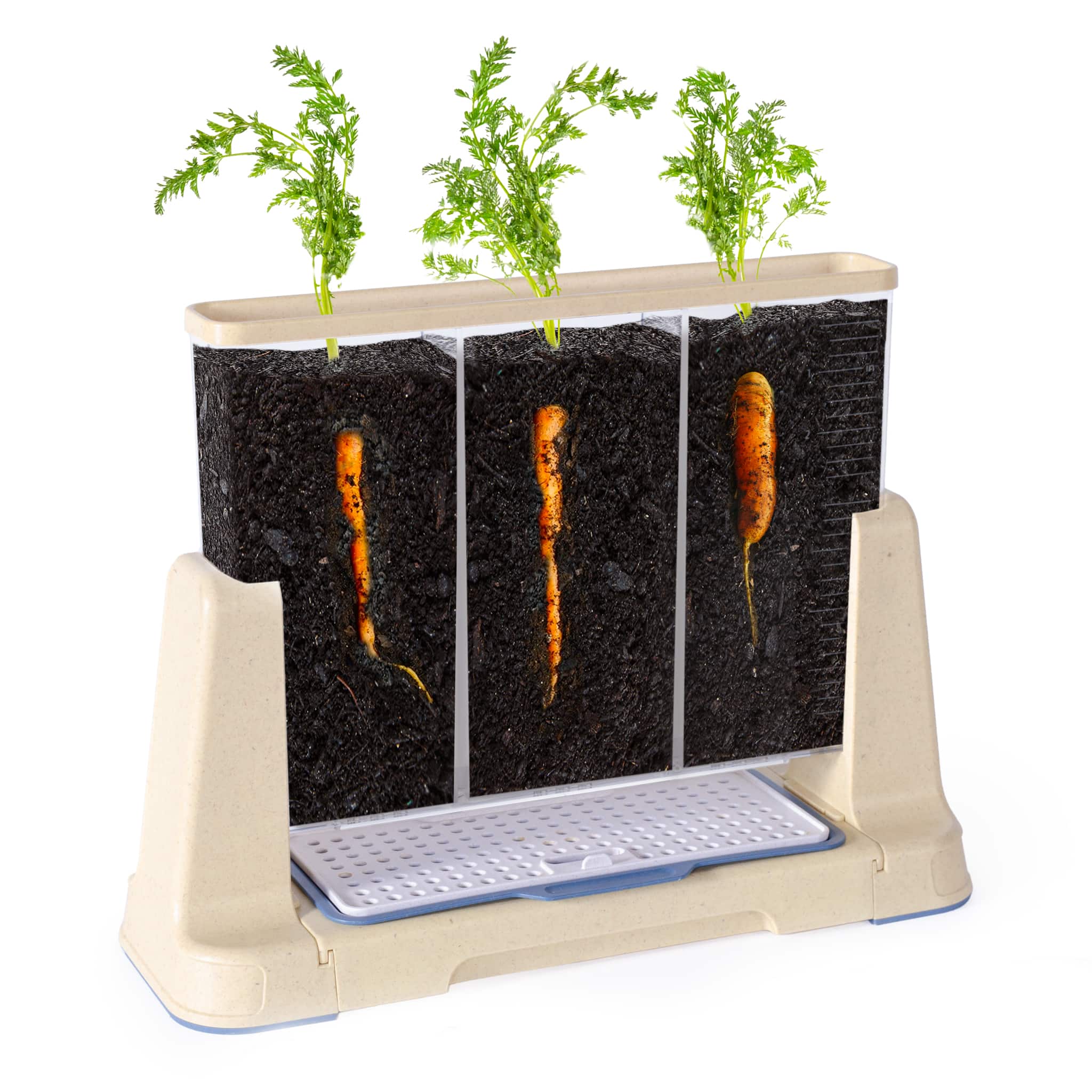 Explore and Discover 3 Section Root View Planter – Guidecraft
