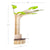 U1550 Reading Tree Dimension Images cm