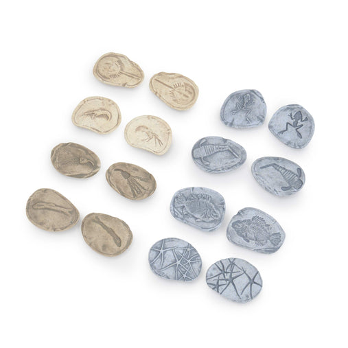 302268 Magnetic Matching Fossil Stones Aquatic Life Set of 8 Silo 19