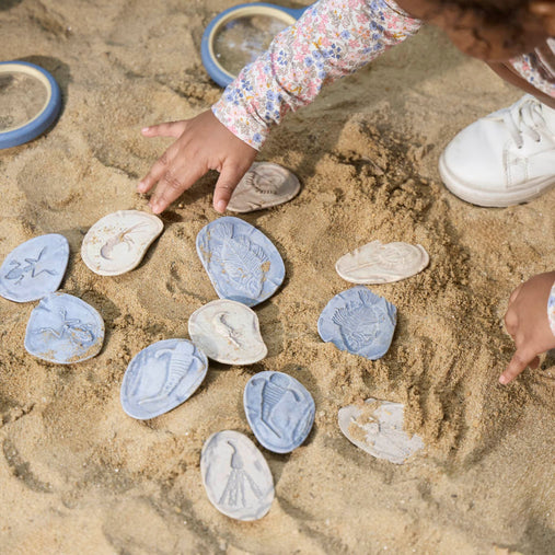 302268 Magnetic Matching Fossil Stones Aquatic Life Set of 8 Lifestyle 60