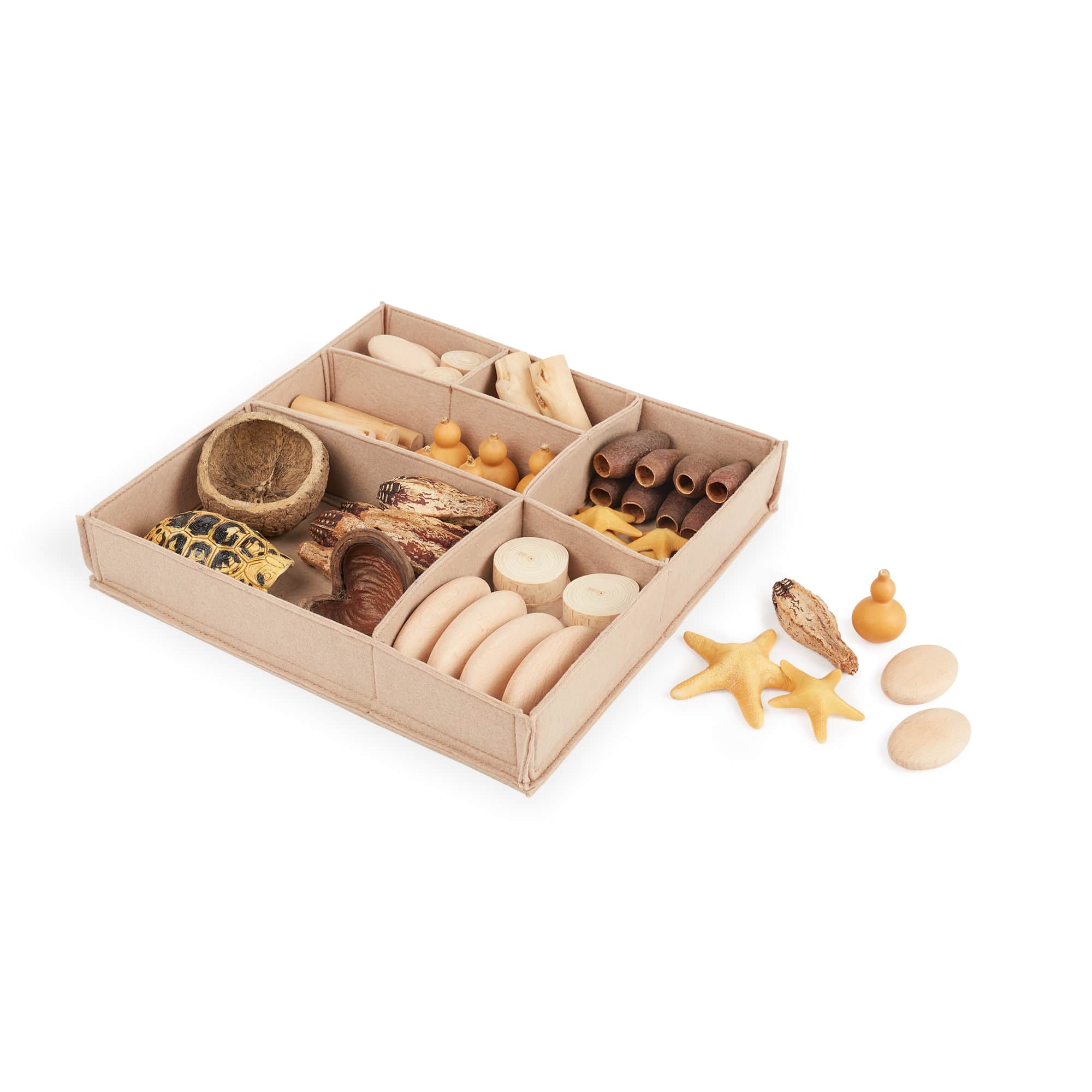 INCREDIBLE CROSS-SECTION COLLECTIONフルセット Nature's Geometry: Toddler Loose Parts STEM Kit – Guidecraft