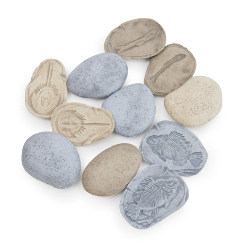302268 Magnetic Matching Fossil Stones Aquatic Life Set of 8 Silo 10