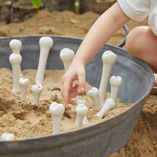300654 Big Bones Set 20 pc Set Lifestyle 2