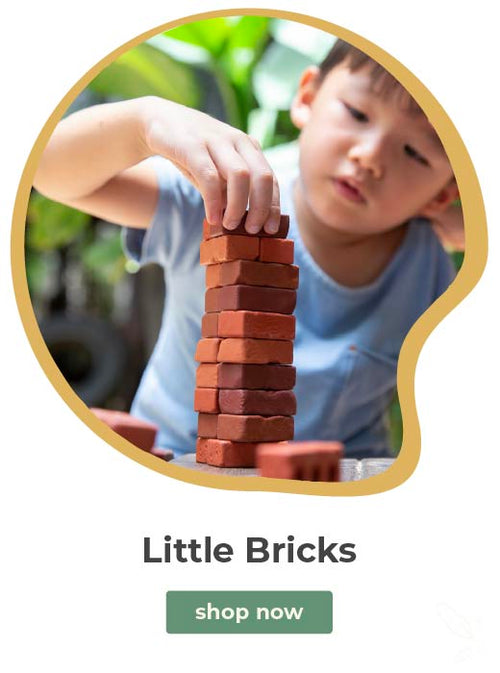 Child playing with brick blocks outdoors, with 'Little Bricks' and 'shop now' text. Click to shop Little Bricks
