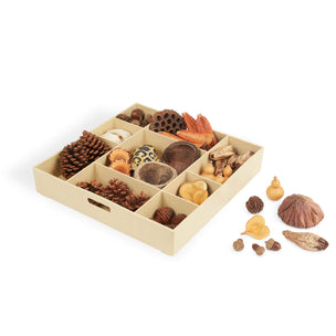 G4850  Nature's Geometry Product 2