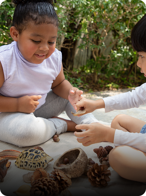 Two children sitting outdoors on a blanket surrounded by natural items like pinecones, acorns, and a small tortoise shell, interacting with the objects in a garden setting.