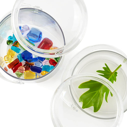 300786 Carry and Discover Magnification Containers Set of 2 Silo 7