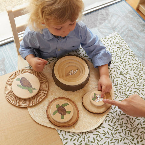 300655 Lifecycle Puzzles Set of 3 Lifestyle 5