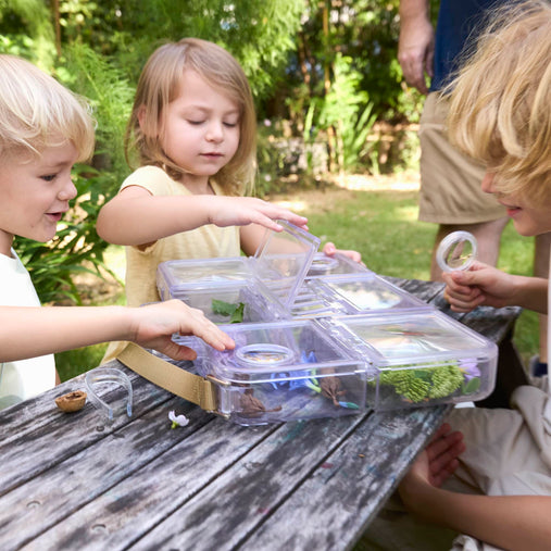 301349 Traveling Treasures Discovery Lab Lifestyle 200