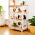 U2405 Curio Storage Environmental