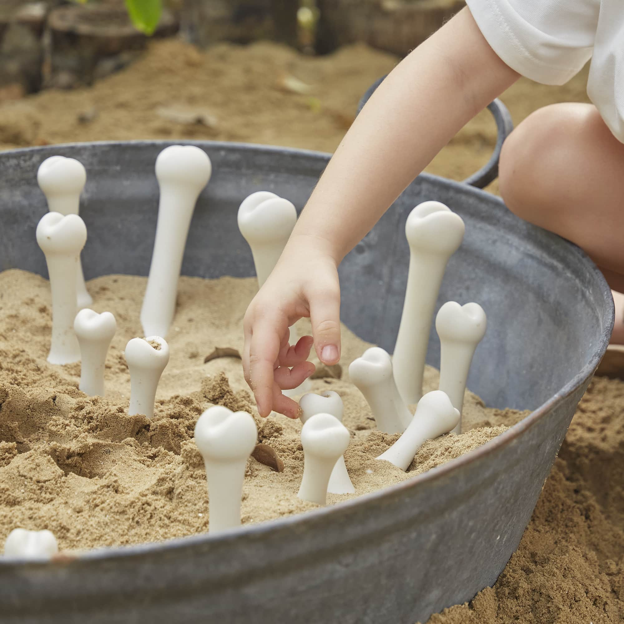 Big Bones Set - 20 pieces – Guidecraft