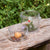 300786 Carry and Discover Magnification Containers Set of 2 Lifestyle 6